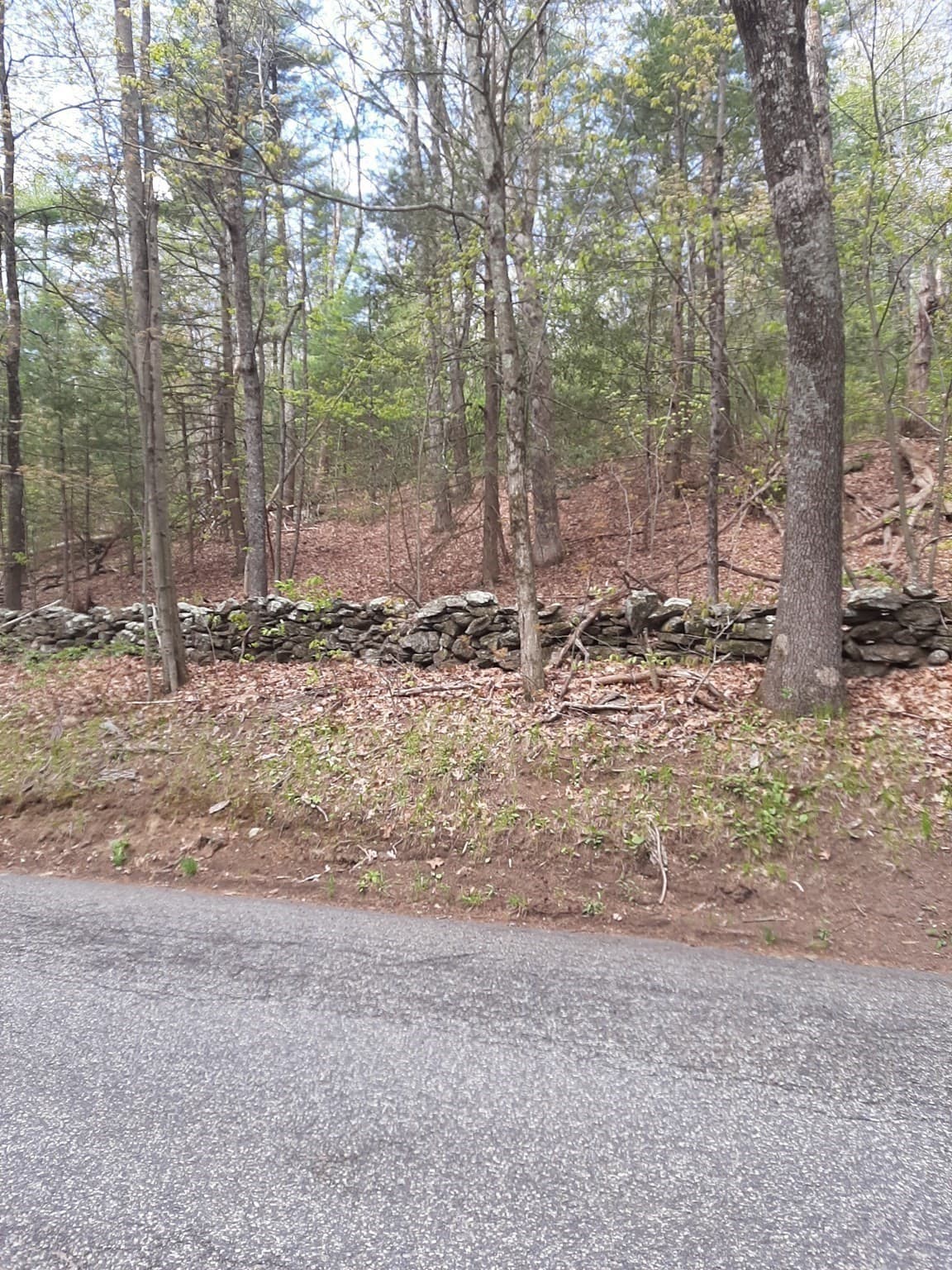 0 Paige Hill Road