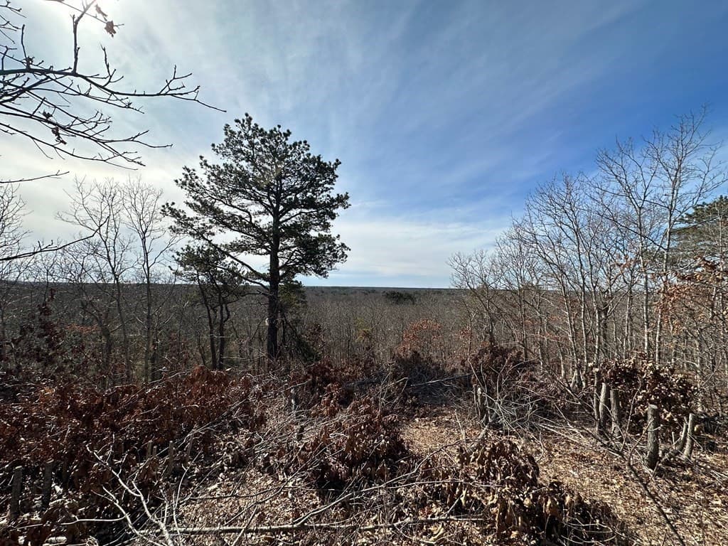 1767 Service Rd photo 2