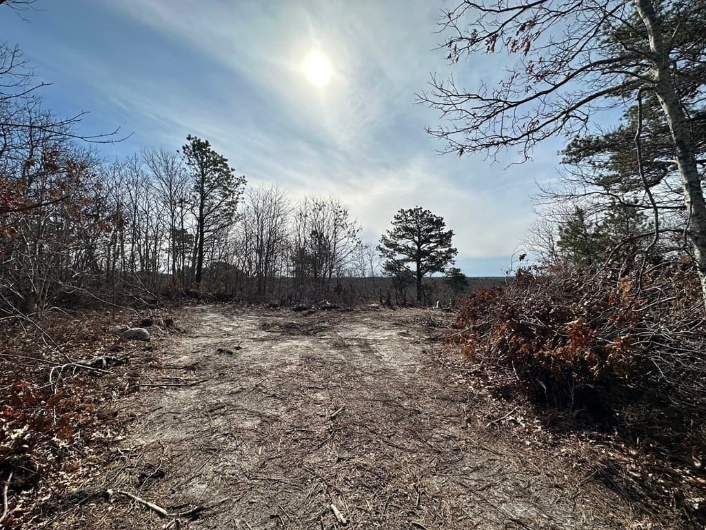 1767 Service Rd photo 3
