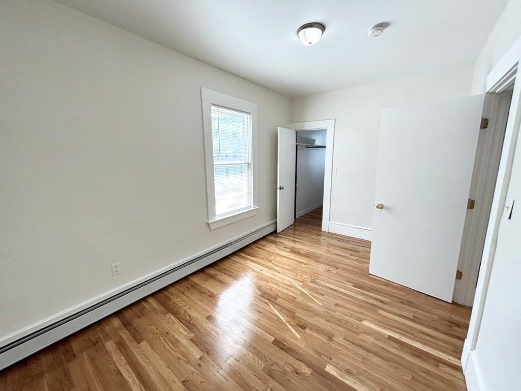 11 Elder Street #2 photo 5