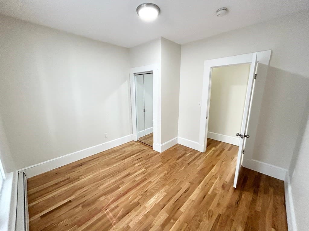 11 Elder Street #2 photo 4
