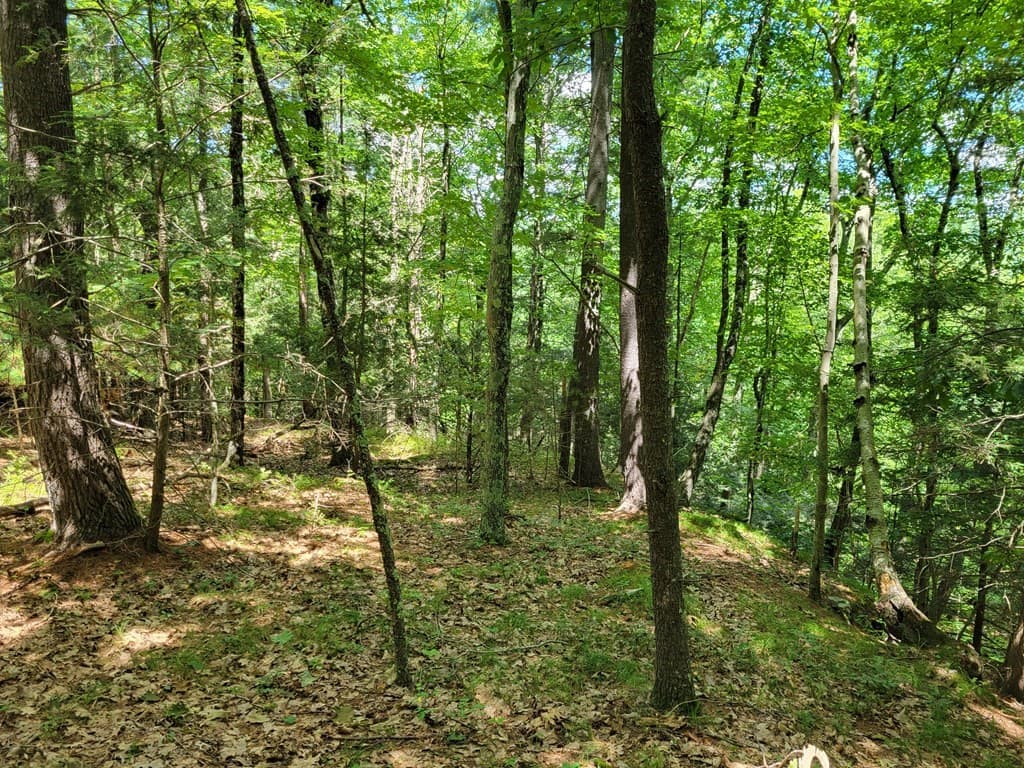319-327 Mountain Rd photo 3