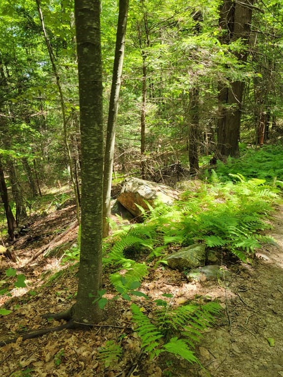 319-327 Mountain Rd photo 5