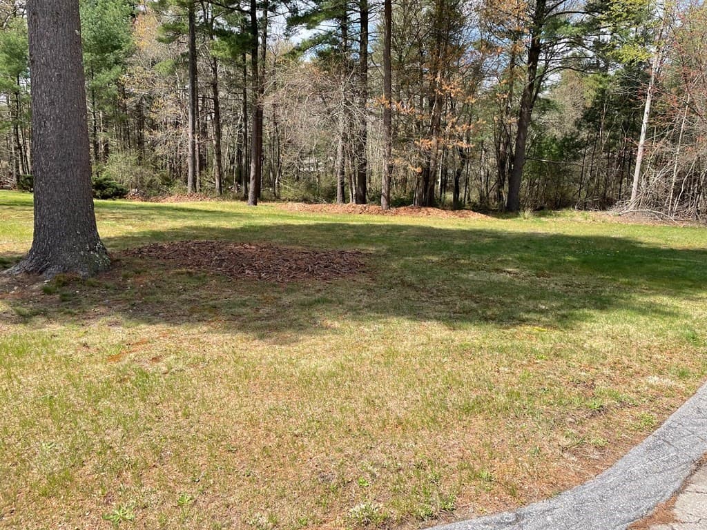 1 Aila Ct. photo 3