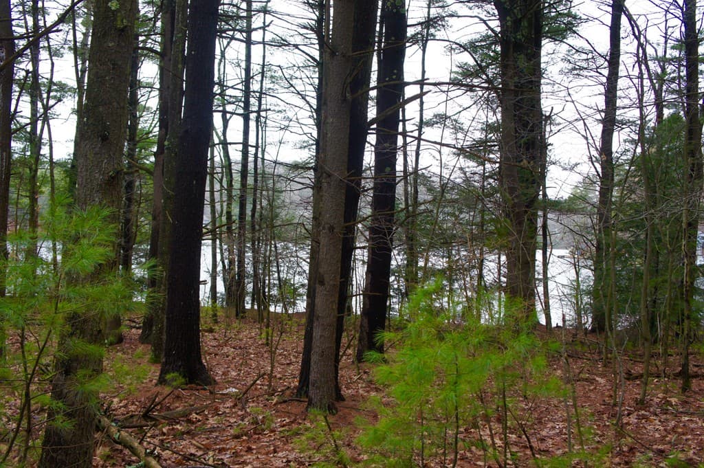Lot 3 Mashapaug Rd.