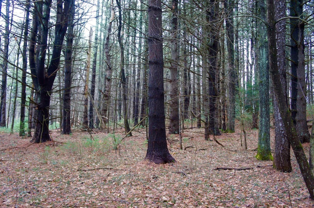 Lot 3 Mashapaug Rd. photo 4