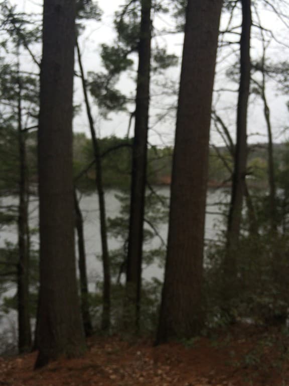 Lot 4 Mashapaug Rd. photo 3