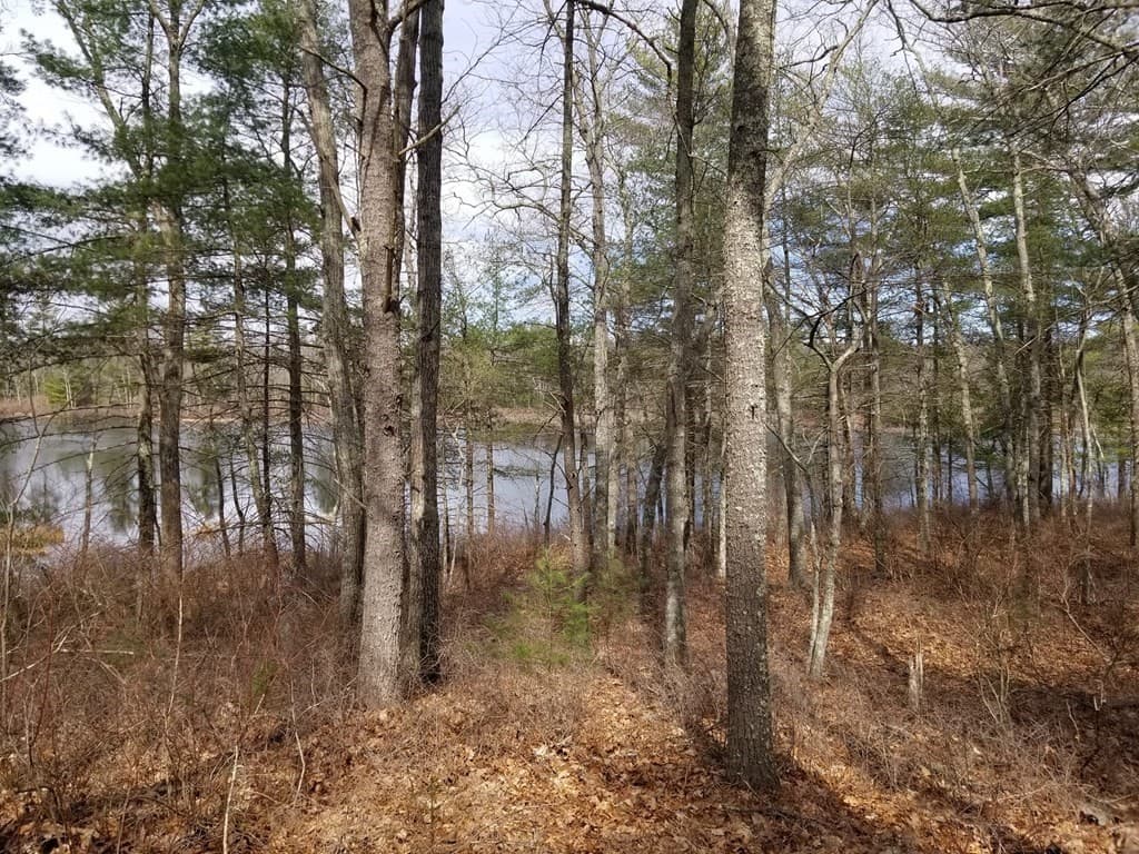 000 East Thompson Rd photo 5