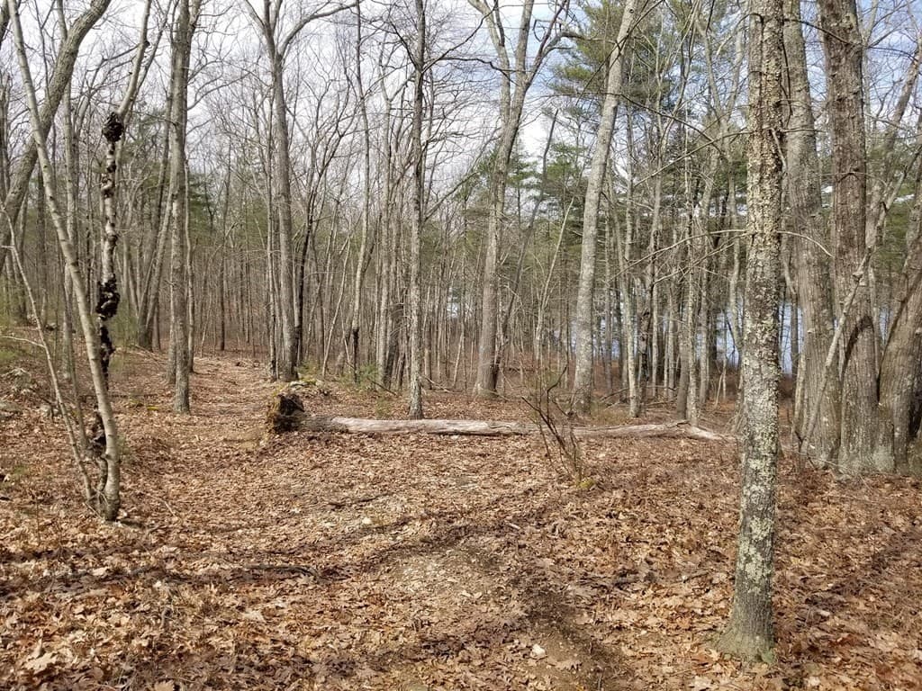 000 East Thompson Rd photo 4
