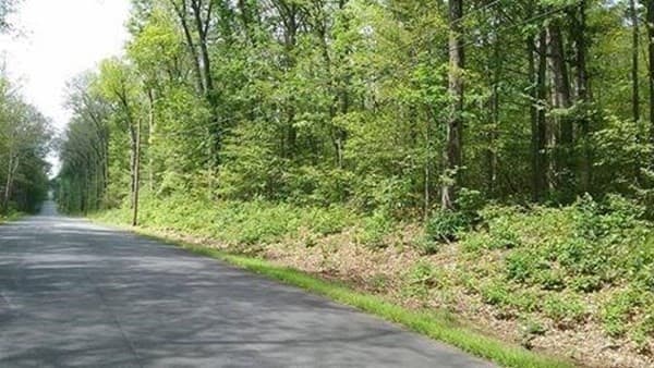 003 Mihaliak Rd photo 3