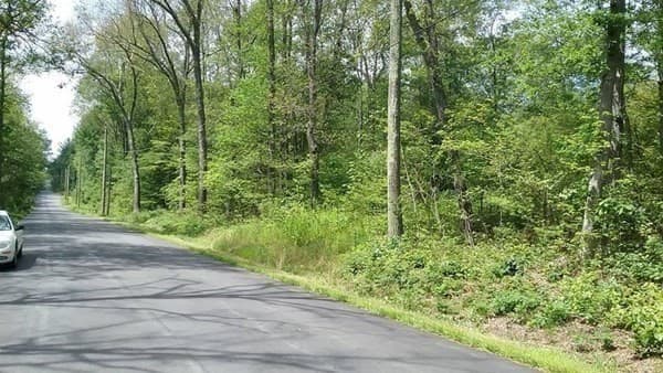 003 Mihaliak Rd photo 5