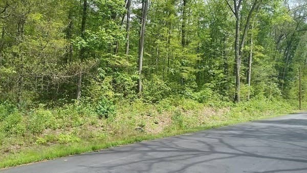 003 Mihaliak Rd photo 4