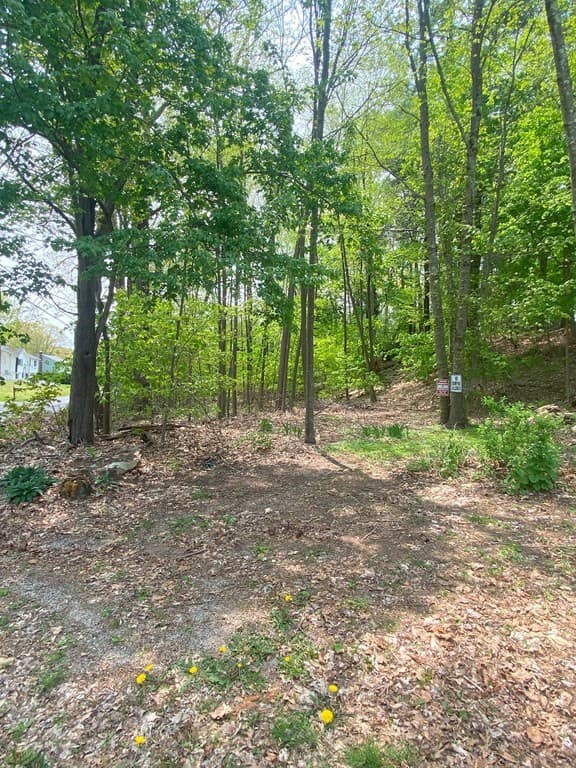 0 Mason Rd Ext photo 2
