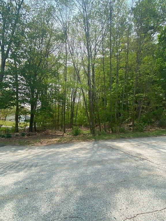 0 Mason Rd Ext photo 3
