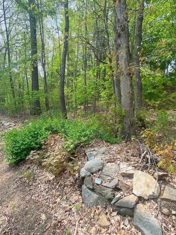 0 Mason Rd Ext