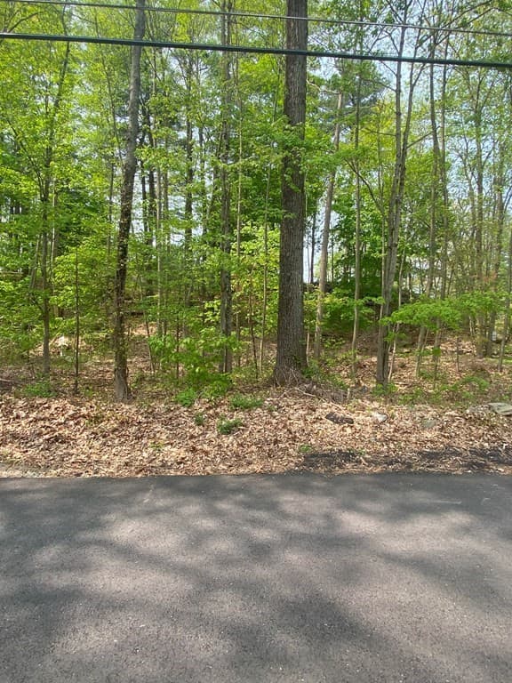 0 Mason Rd Ext photo 5