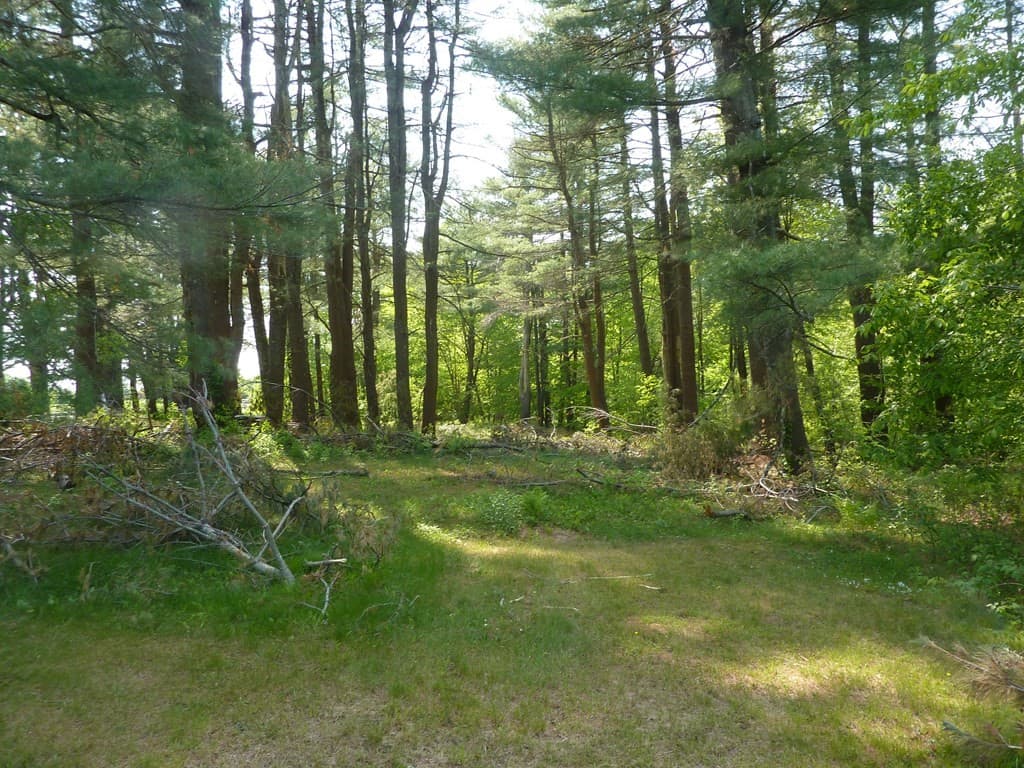 0 Richards Ave photo 3