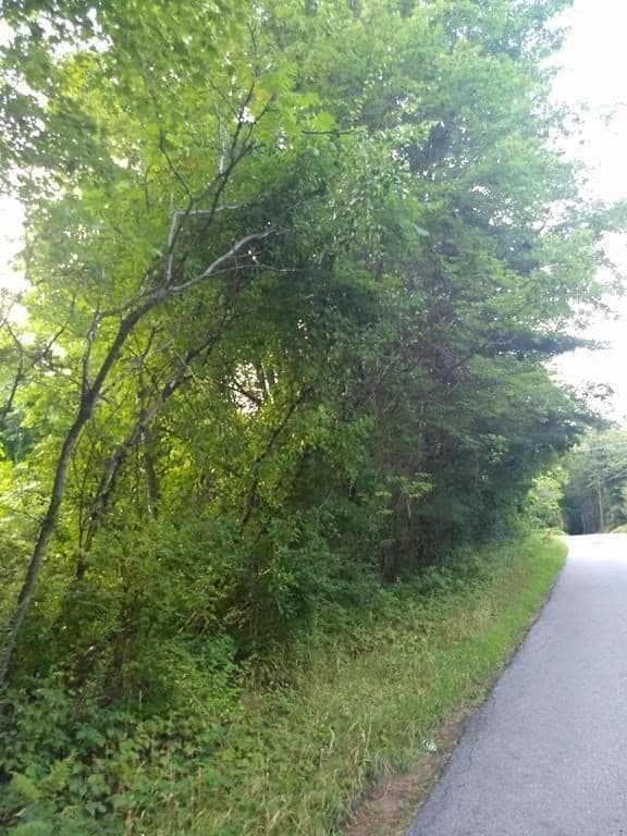 0 Lyman Rd photo 3