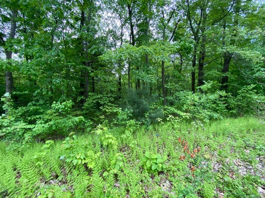 Lot Brimfield Rd photo 2