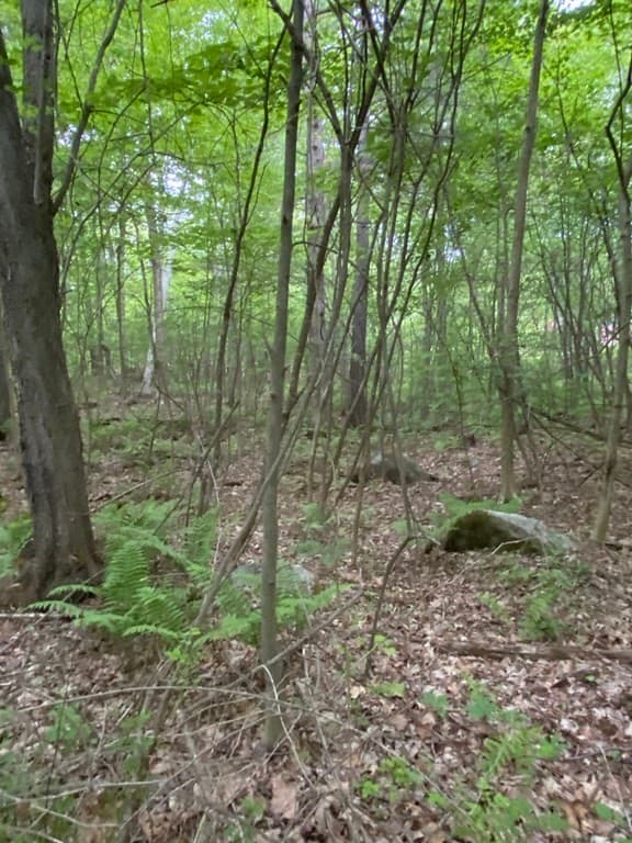 Lot Brimfield Rd photo 5