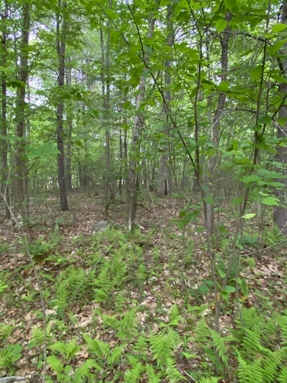 Lot Brimfield Rd photo 4