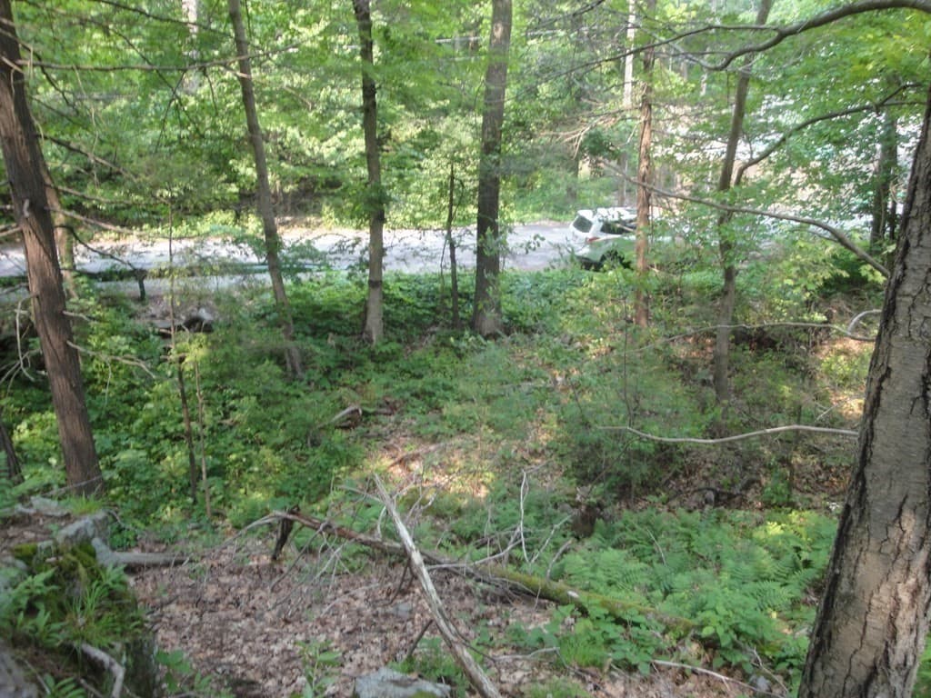 195 & 197 Greenwood Ave photo 4