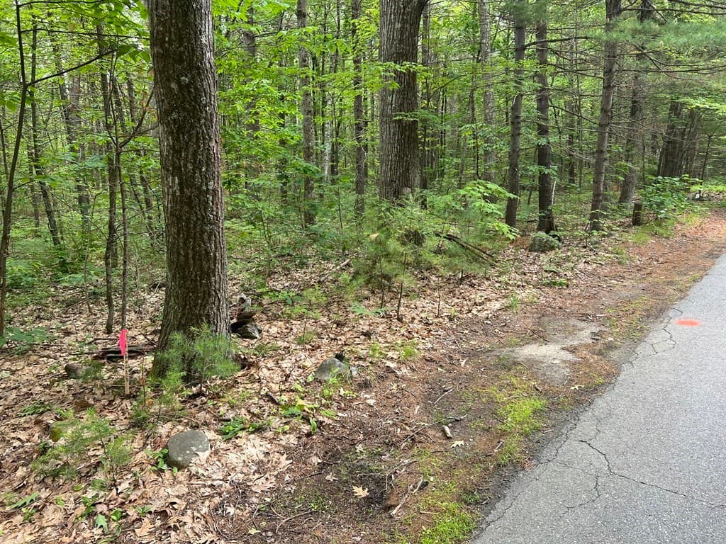 Lot 3 Elm St. photo 5