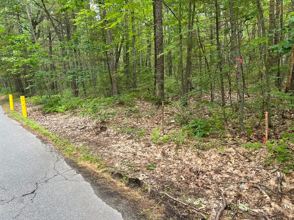 Lot 3 Elm St. photo 4