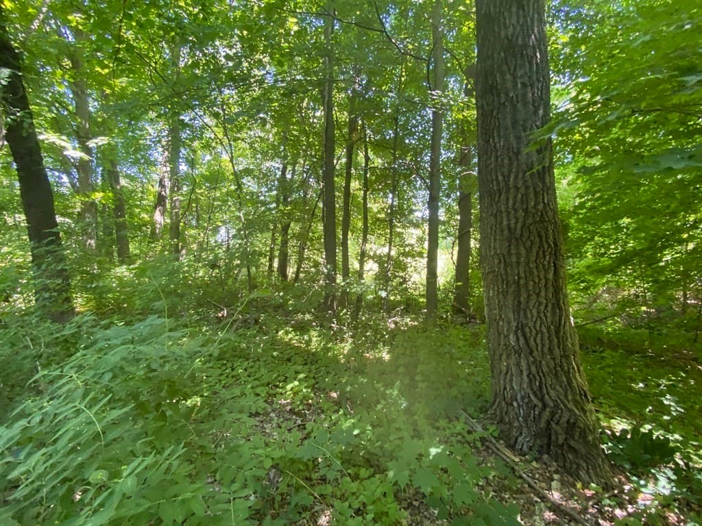 14 Lakeshore Dr Lot 2 photo 3