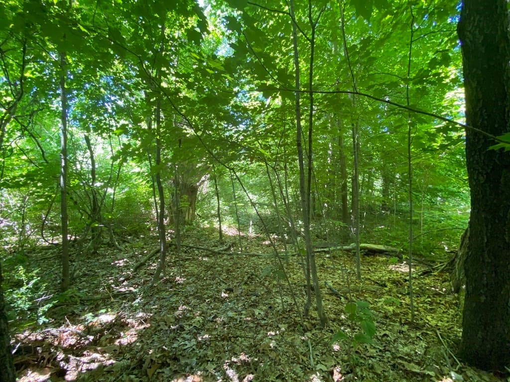 14 Lakeshore Dr Lot 2 photo 4
