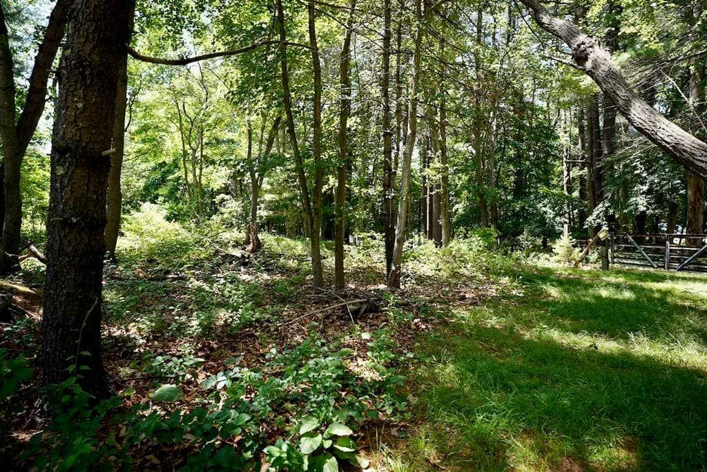 2 Maureen Ln photo 2