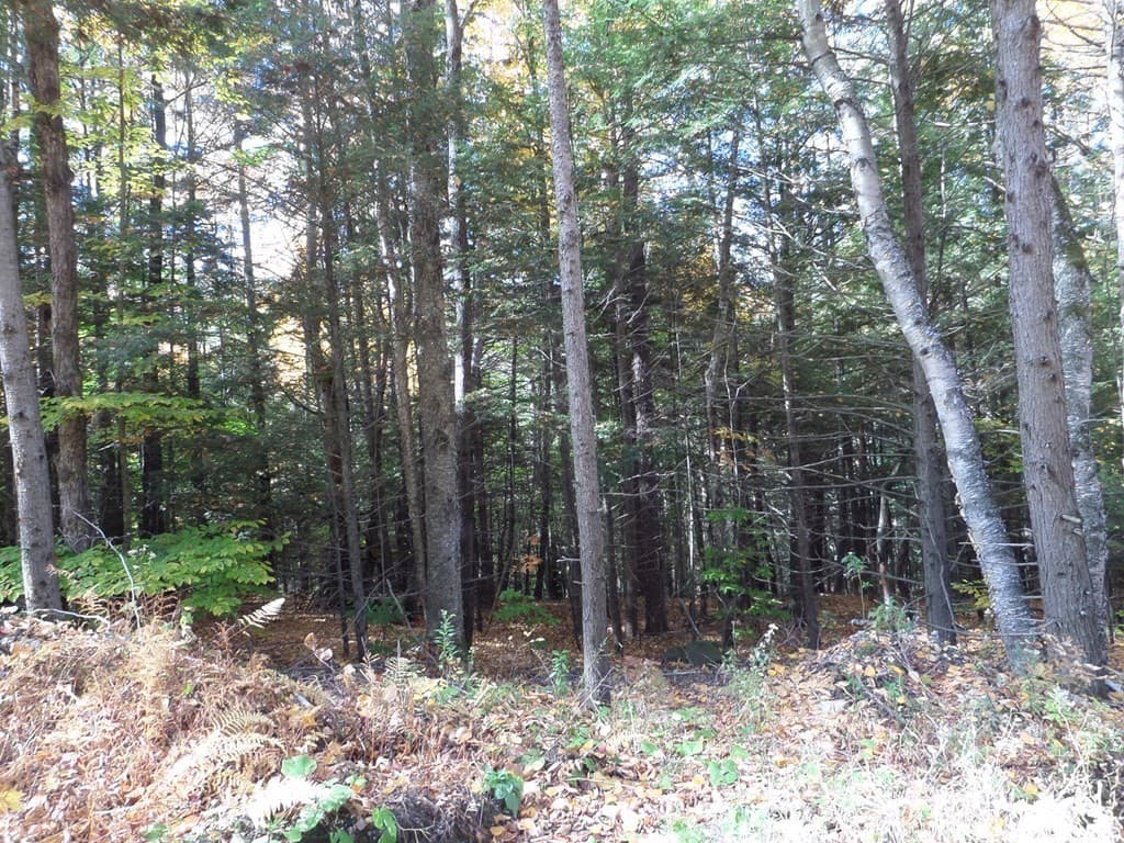 0 Thayer Hill Rd photo 3