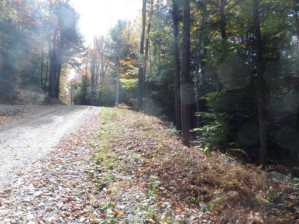 0 Thayer Hill Rd photo 4