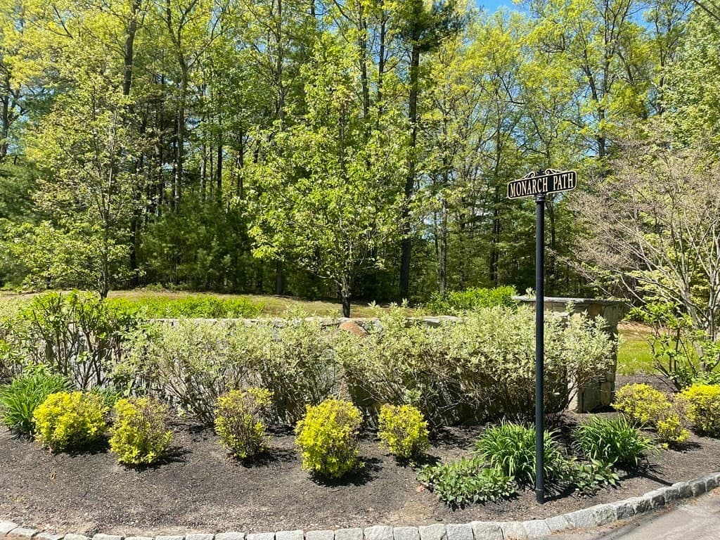 Lot 4 Monarch Path photo 4