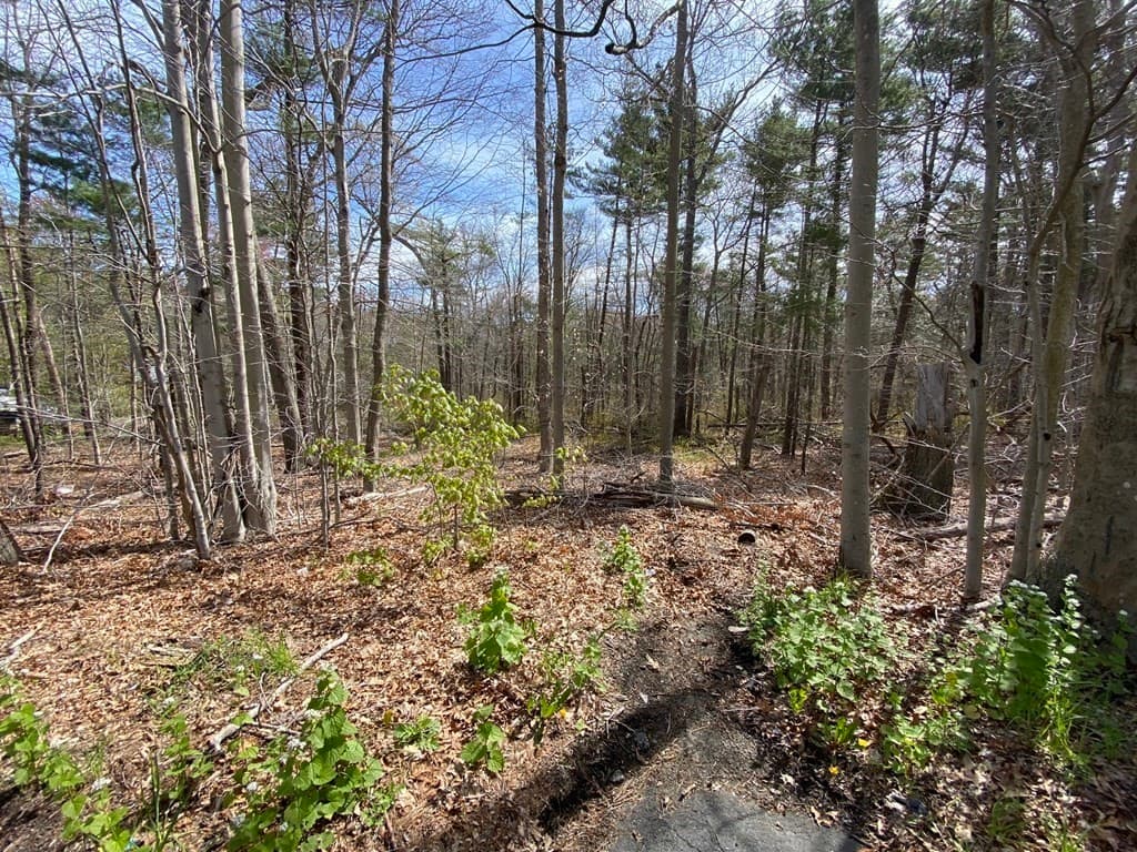 200 Cross Rd photo 4