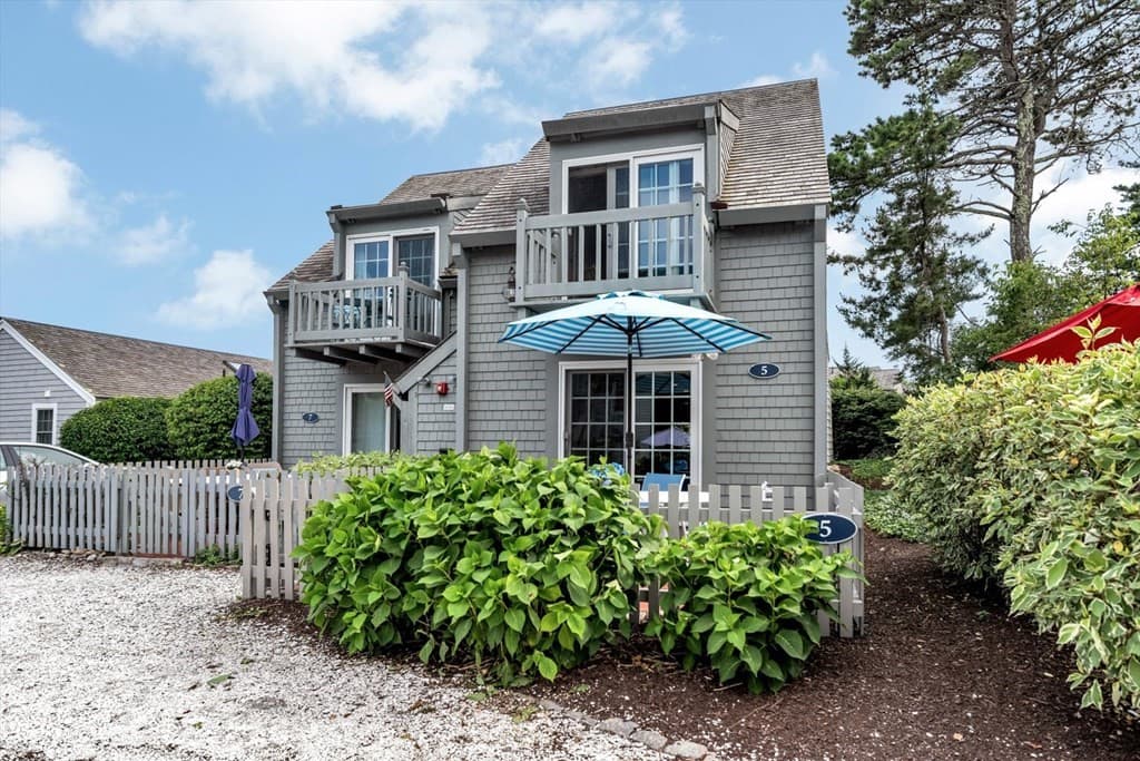 5 Hydrangea Ln #5