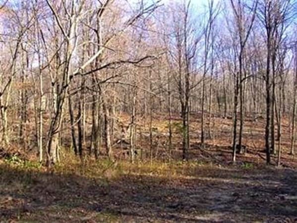 474-480 Mountain Road photo 4