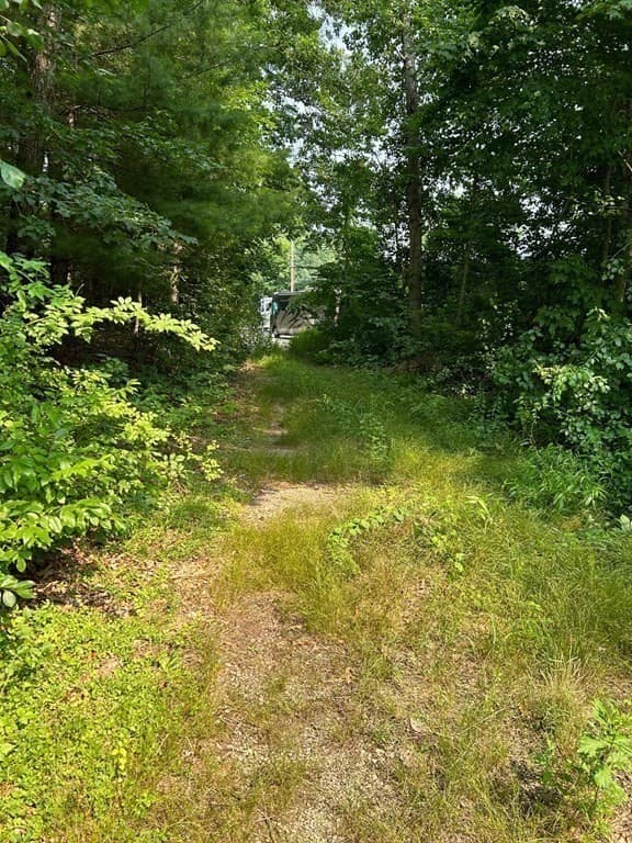 77 Pleasant Street photo 5