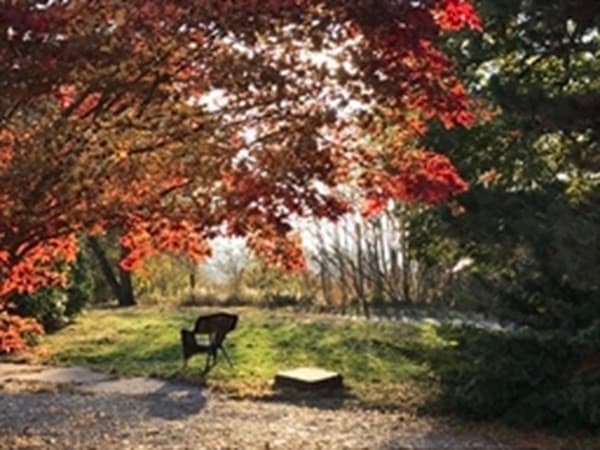 1 Crescent Hill photo 3