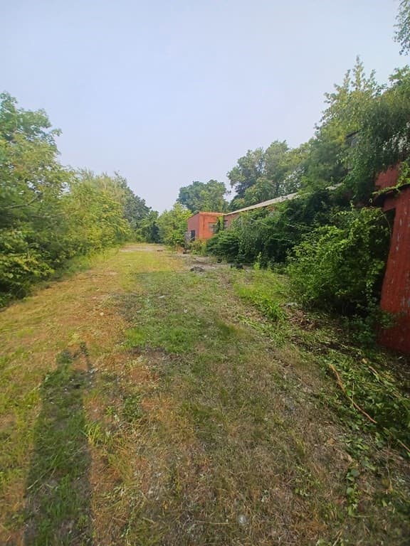 50 Payne St photo 3