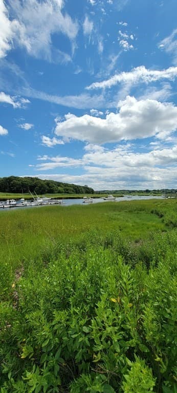 Lot 17-1 Howland's Lane photo 5