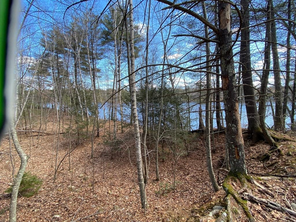 66 Westwood Drive photo 2