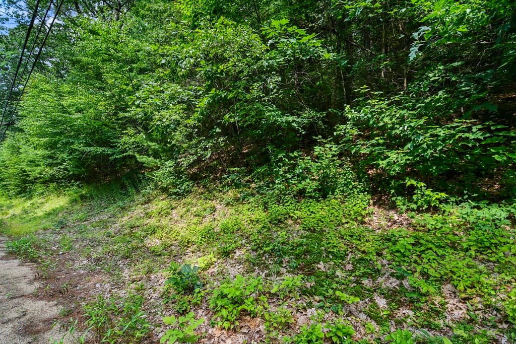 0 Southbridge Road photo 2