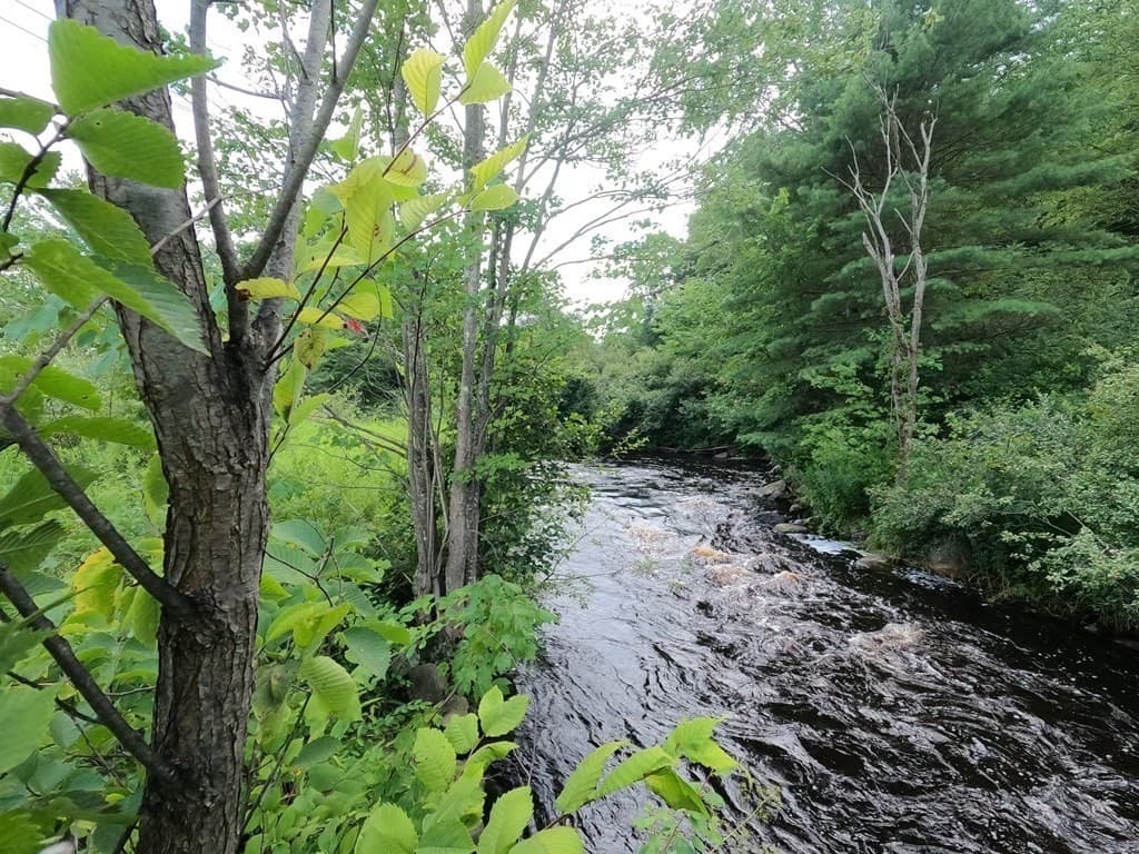 Lot 63 Mill St photo 2