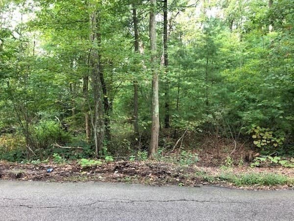 16 Fales Road photo 3