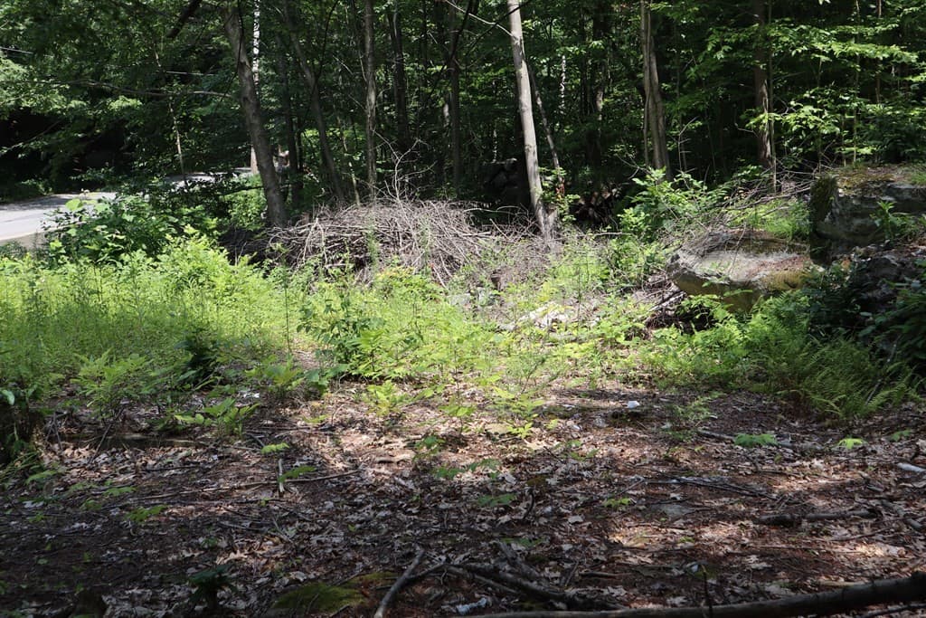 979 Chestnut Street photo 3