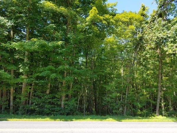 266 Holland Rd