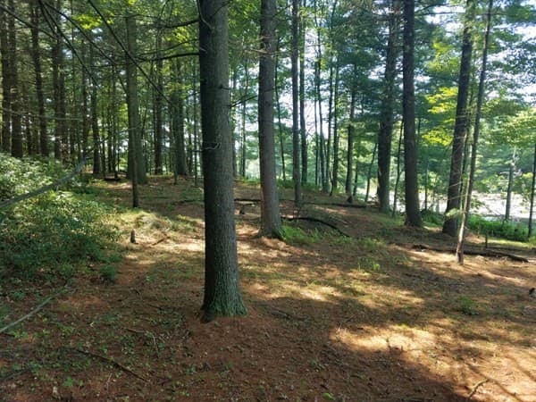 266 Holland Rd photo 5