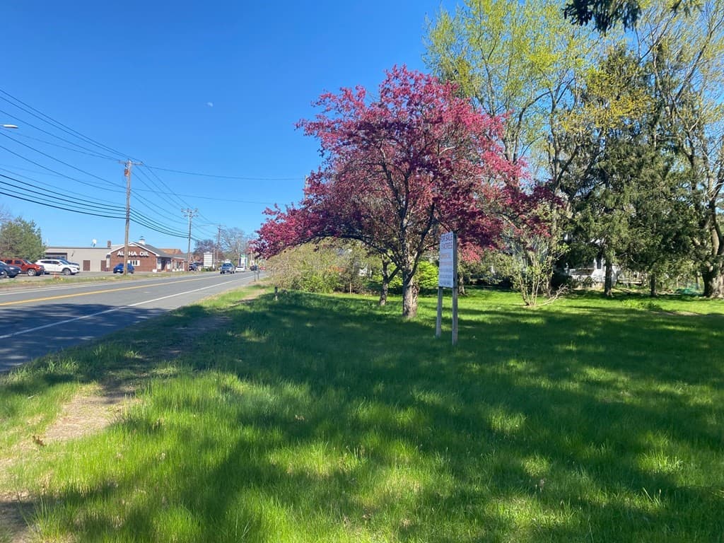 2431 Boston Rd photo 3