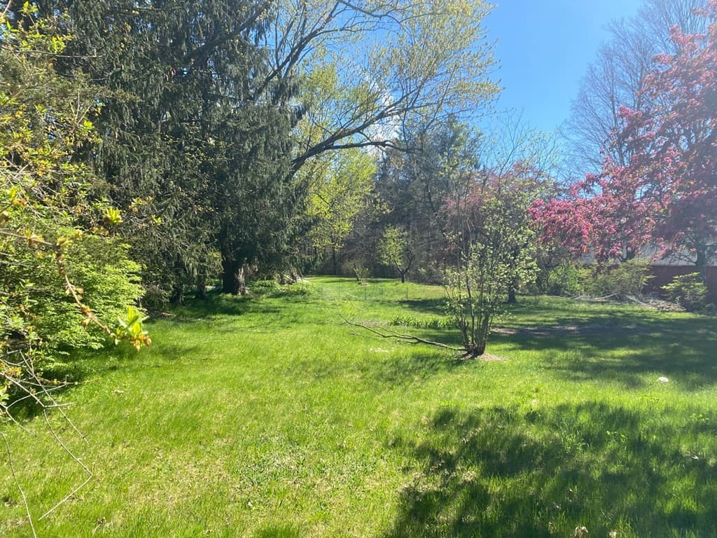 2431 Boston Rd photo 5